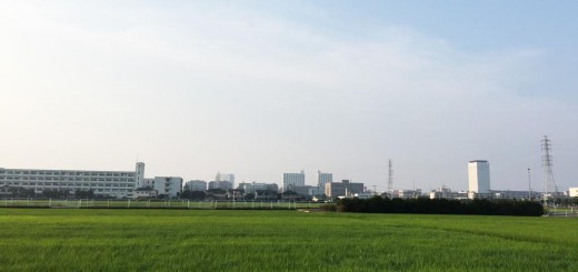 中新田 田園風景